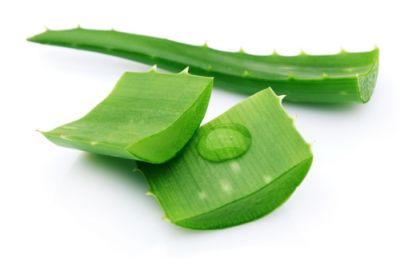 ALOE VERA WHOLE LEAVES