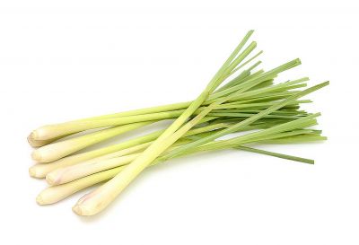 LEMONGRASS